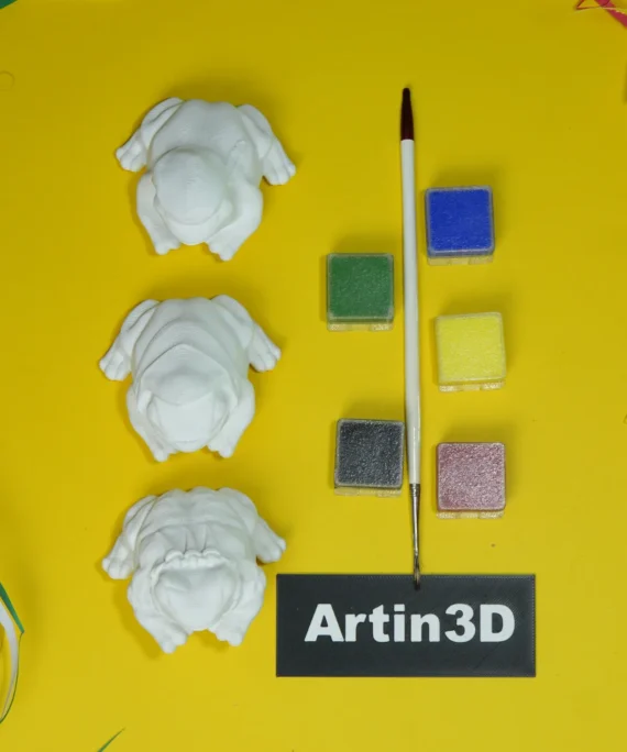 3 Frog Painting kit for kids