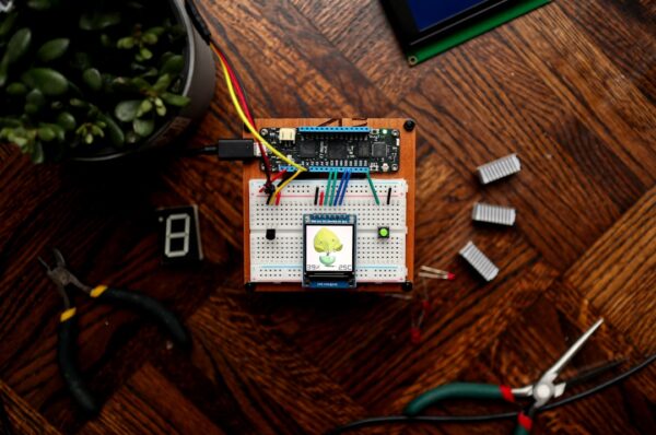 IoT electronics board for custom camera and device body