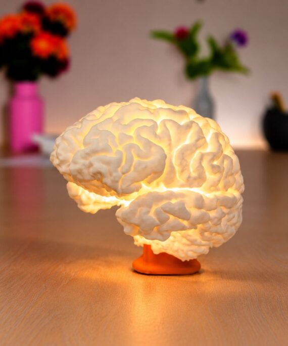 3D Printed Glowing Brain Lamp – Artin3D Bangladesh